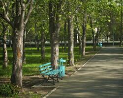 primavera parque temprano en el Mañana foto