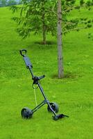 Game in the golf club against the background of the green juicy grass photo