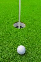 Game in the golf club against the background of the green juicy grass photo