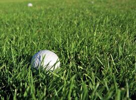 Morning Landscape at a Golf Club photo