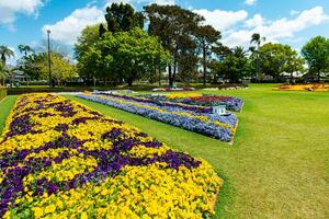 flor festival en demasiado woomba, qld, Australia foto