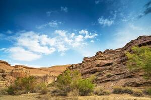 Charyn grand canyon in Kazakhstan, Almaty region photo