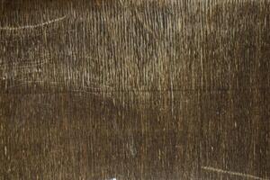 Detailed Wood Texture Photography photo