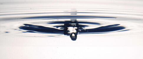 The round transparent drop of water, falls downwards photo