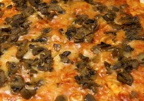 Fresh pizza with the funghi photo