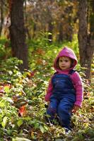 small girl sits on the stump in the scaffolding photo