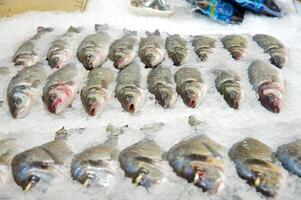 Fresh fish on ice decorated for sale at market photo