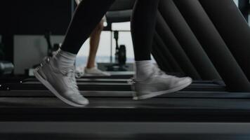 Close up sportswoman legs feet in sports shoes run walk on treadmill speed jog move go step on running machine active sport people fit runners training cardio workout jogging sprint race in gym club video