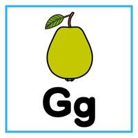 flat guava alphabet g illustration vector