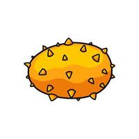 horned melon illustration vector