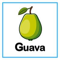 fresh guava alphabet illustration vector