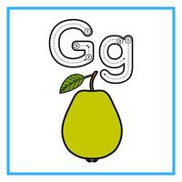 tracing alphabet flat guava illustration vector