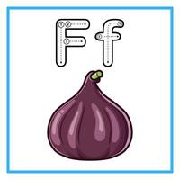 tracing alphabet fig fruit illustration vector