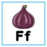 fig fruit alphabet f illustration vector