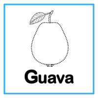 tracing guava alphabet illustration vector