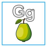 tracing alphabet fresh guava illustration vector