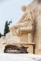 gato dormido siguiente a el estatua de el dramaturgo menandro a el teatro de dioniso eleuterio con fecha de a el 6to siglo antes de Cristo foto