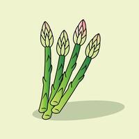 The Illustration of Asparagus vector