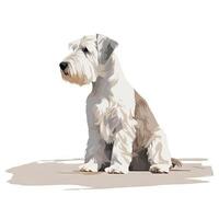 Soft Pastel Sealyham Terrier Watercolor Painting photo