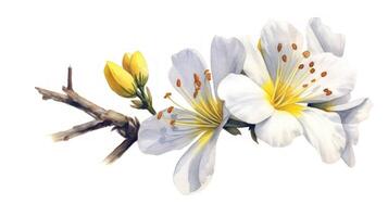 Captivating Watercolor Illustration of Angolas National Flower photo