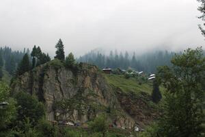 Scenic view of the natural beauty of Tao Butt, Neelum Valley, Kashmir.  Tao Butt is famous for its lush green trees and natural beauty. photo