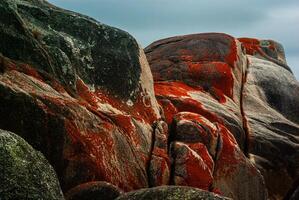 Lichon encrusted granite boulders at the Bay of Fires Tasmania photo