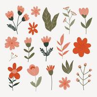 conjunto de moderno floral elementos.flor y verde hojas.mano dibujar botánico. vector
