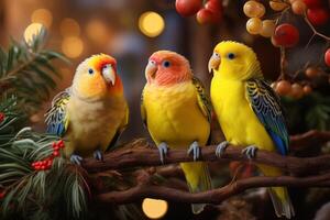 A delightful scene featuring singing pets, like parrots, budgies, and canaries, perched on festive branches, creating a harmonious Christmas melody. Generative Ai photo