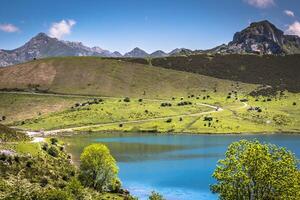 Lake Enol and mountain retreat, the famous lakes of Covadonga, Asturias , Spain photo