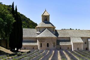 Cistercian Senanque Abbey - Gordes, France photo