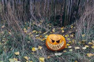 halloween jack-o-lantern with antropomorfic smiling face on autumn leaves Outdoor photo