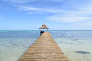 belice cayos - pequeño tropical isla a barrera arrecife con paraíso playa - conocido para buceo, bucear y relajante vacaciones - caribe mar, belice, central America foto