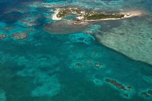 belice cayos - pequeño tropical isla a barrera arrecife con paraíso playa - conocido para buceo, bucear y relajante vacaciones - caribe mar, belice, central America foto