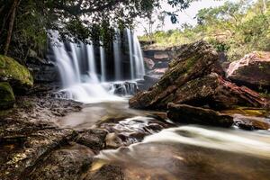 Cano Cristales is a river in Colombia that is located in the Sierra de la Macarena, in the department of Meta. It is considered by many as the Most Beautiful River in the World photo