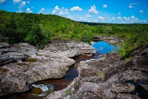 Cano Cristales is a river in Colombia that is located in the Sierra de la Macarena, in the department of Meta. It is considered by many as the Most Beautiful River in the World photo