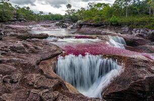 cano cristales es un río en Colombia ese es situado en el sierra Delaware la macarena, en el Departamento de meta. eso es considerado por muchos como el más hermosa río en el mundo foto