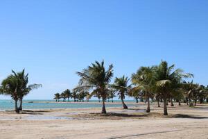 Beautiful daytime view of Royal Commission Beach in Yanbu, Saudi Arabia. photo