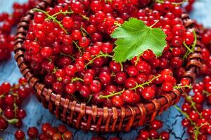 Redcurrant in wicker bowl on the table photo