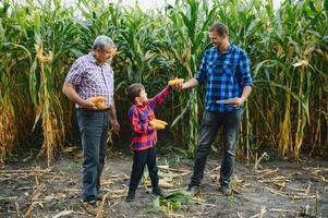 abuelo, hijo y nieto trabajando en maíz campo. familia agricultura. foto