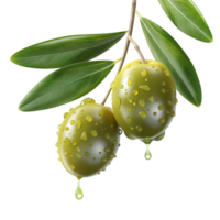 AI generated Olives with leaves on branch isolated, healthy and organic food, AI generated, PNG transparent