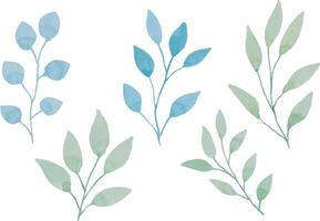 Assortment of watercolor leaves illustration set - green leaf branches collection for wedding, greetings, stationary, wallpapers, fashion, background. olive, green leaves, Eucalyptus etc vector