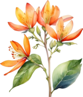 AI generated Watercolor painting of Palash flower. png