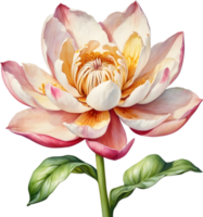 AI generated Watercolor painting of Brahma Kamal flower. png