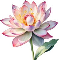 AI generated Watercolor painting of Brahma Kamal flower. png