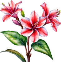 AI generated Watercolor painting of Impala Lily, Adenium multiflorum png