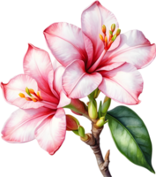 ai generiert Aquarell Gemälde von Impala Lilie, Adenium Multiflorum png