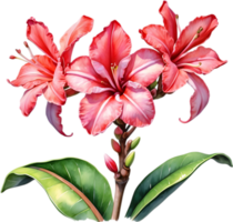 ai generado acuarela pintura de impala lirio, adenium multiflorum png