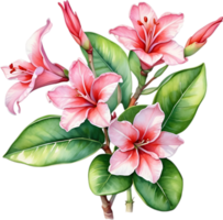 ai generado acuarela pintura de impala lirio, adenium multiflorum png