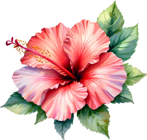 AI generated Watercolor painting of Rose of Sharon ,Hibiscus syriacus. png