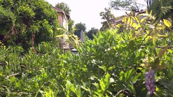 View of Buranelli river in Treviso 6 video